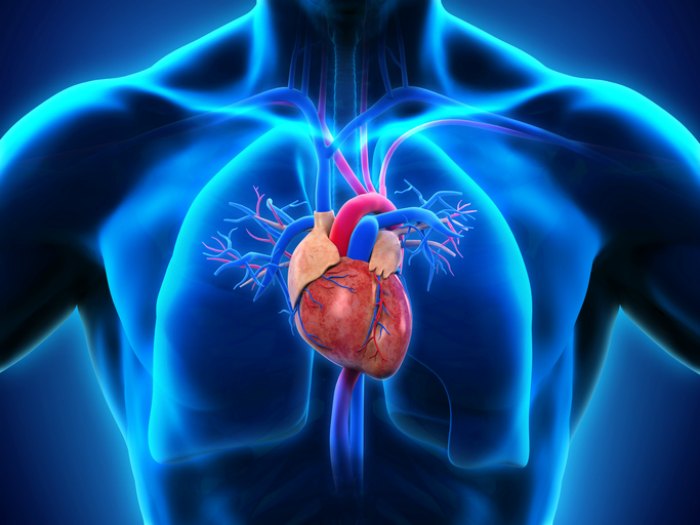 💓 Salud en Movimiento: Los Mejores Ejercicios para Fortalecer tu Corazón.