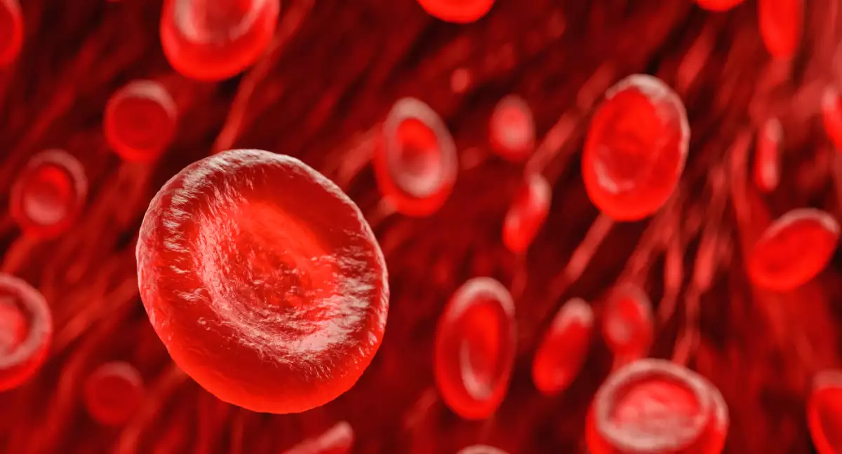 Científicos Desarrollan Sangre Artificial Compatible con Todos los Grupos Sanguíneos.