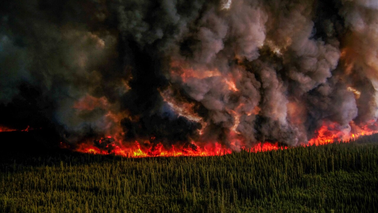 Incendios forestales en Canadá: el peor desastre ambiental del año.