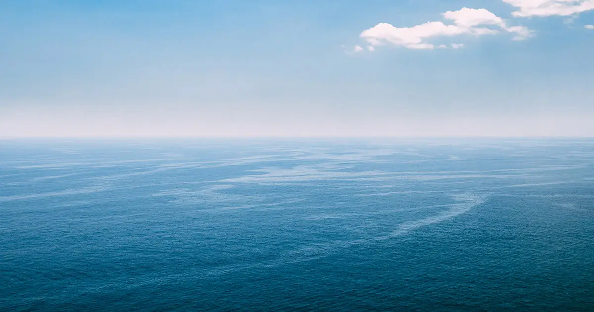 🌊 Los océanos: el verdadero pulmón del planeta, según la ONU.