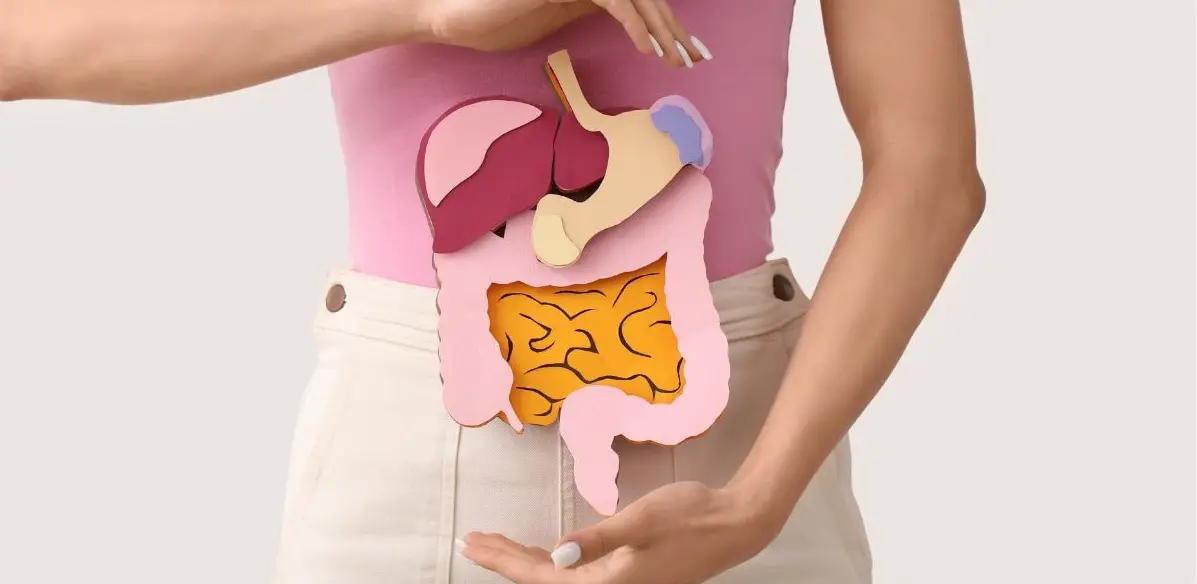 📰 «¿Digestión pesada? Expertos recomiendan hábitos clave para mejorar tu salud digestiva».