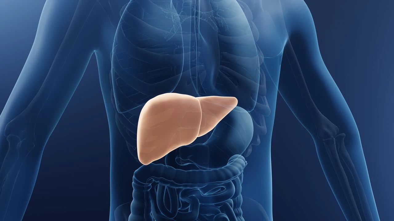 Alimentos Clave para Proteger el Hígado y Mejorar su Funcionamiento.
